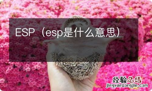 esp是什么意思 ESP