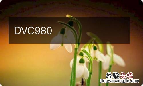 DVC980