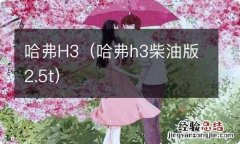 哈弗h3柴油版2.5t 哈弗H3