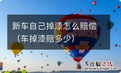 车掉漆赔多少 新车自己掉漆怎么赔偿