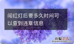 闯红灯后要多久时间可以查到违章信息