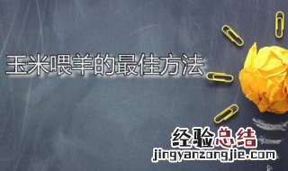 玉米喂羊的最佳方法视频 玉米喂羊的最佳方法