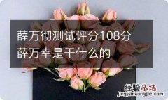 薛万彻测试评分108分 薛万幸是干什么的