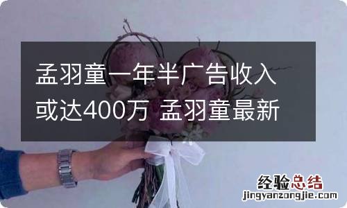 孟羽童一年半广告收入或达400万 孟羽童最新消息