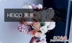 HEICO 黑葱