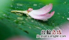 听雨感悟人生 听雨感悟