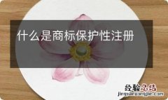 什么是商标保护性注册