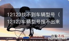 12123车辆型号搜不出来 12123找不到车辆型号