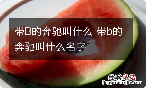 带B的奔驰叫什么 带b的奔驰叫什么名字