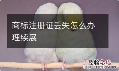 商标注册证丢失怎么办理续展