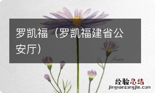 罗凯福建省公安厅 罗凯福