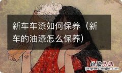 新车的油漆怎么保养 新车车漆如何保养