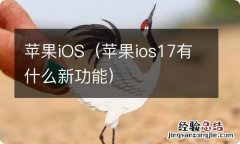 苹果ios17有什么新功能 苹果iOS