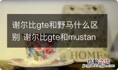 谢尔比gte和野马什么区别 谢尔比gte和mustang有什么区别