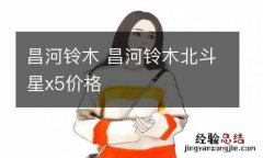 昌河铃木 昌河铃木北斗星x5价格