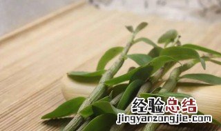 干的铁皮石斛怎么保存 干的铁皮石斛怎么保存最好