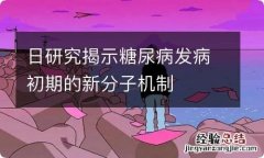 日研究揭示糖尿病发病初期的新分子机制