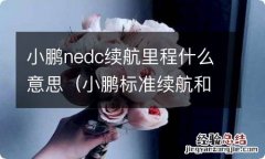 小鹏标准续航和长续航 小鹏nedc续航里程什么意思