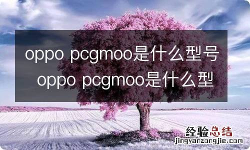 oppo pcgmoo是什么型号oppo pcgmoo是什么型号手机