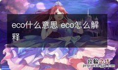 eco什么意思 eco怎么解释