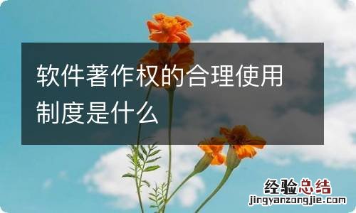 软件著作权的合理使用制度是什么