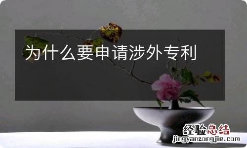 为什么要申请涉外专利