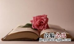 花若盛开蝴蝶自来是什么意思 花若盛开蝴蝶自来的意思