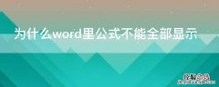 为什么word里公式不能全部显示