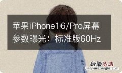 苹果iPhone16/Pro屏幕参数曝光：标准版60Hz刷新率