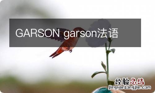 GARSON garson法语