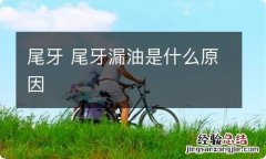 尾牙 尾牙漏油是什么原因