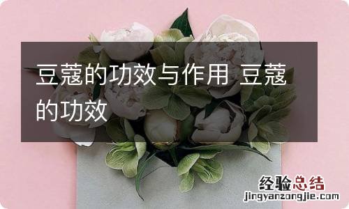 豆蔻的功效与作用 豆蔻的功效