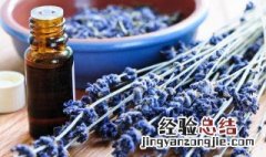 熏衣草精油功效作用 熏衣草精油功效