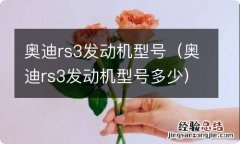 奥迪rs3发动机型号多少 奥迪rs3发动机型号