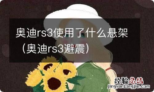 奥迪rs3避震 奥迪rs3使用了什么悬架