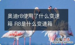 奥迪r8使用了什么变速箱 R8是什么变速箱