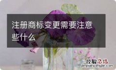 注册商标变更需要注意些什么