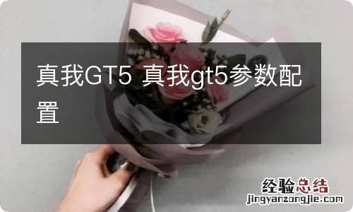 真我GT5 真我gt5参数配置