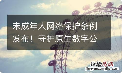 未成年人网络保护条例发布！守护原生数字公民