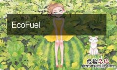 EcoFuel