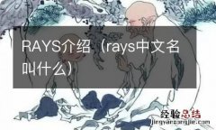 rays中文名叫什么 RAYS介绍