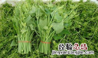 新鲜龙须菜的保存方法 新鲜龙须菜的保存方法视频