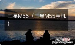 三星M55手机 三星M55