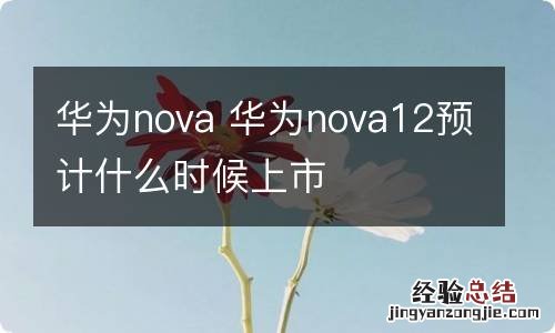 华为nova 华为nova12预计什么时候上市