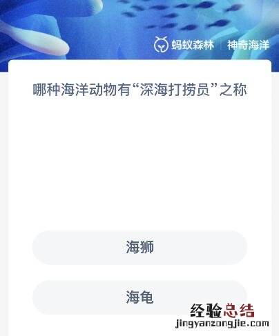 哪种海洋动物有深海打捞员之称的 哪种海洋动物有“深海打捞员”之称