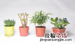 植物的过冬方法有哪些(能力培养与测试 植物的过冬方法