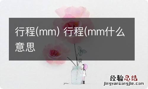 mm 行程 行程(mm什么意思