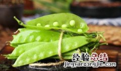 荷兰豆怎么种植方法 荷兰豆怎么种