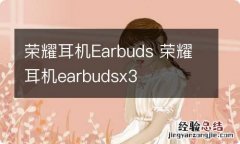 荣耀耳机Earbuds 荣耀耳机earbudsx3