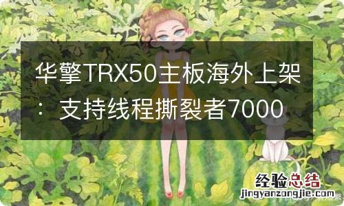 华擎TRX50主板海外上架:支持线程撕裂者7000